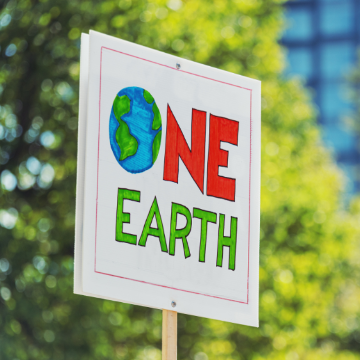 The Escazú Agreement Contribution to Environmental Justice in Latin America: An Exploration Through the Lens of Climate Litigation