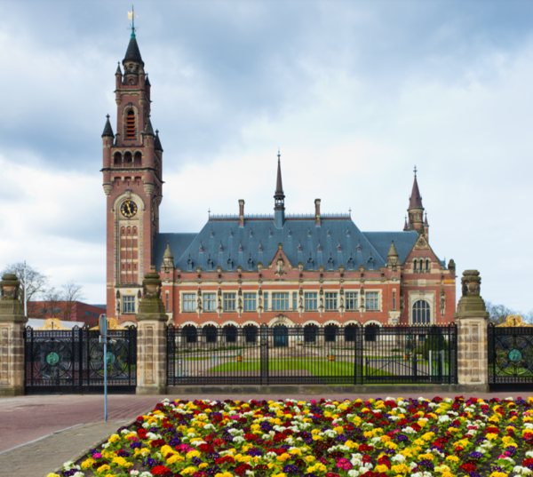The Role of Human Rights Law in Climate Obligations