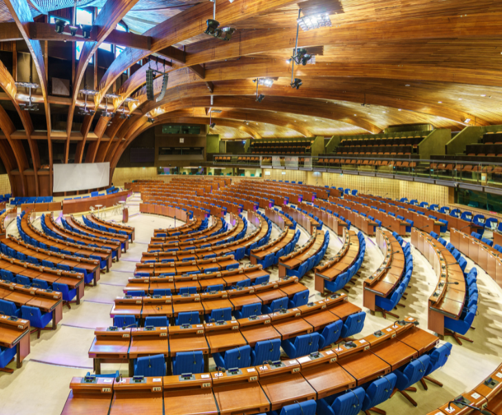 A slow dance: What next for the right to a healthy environment after the European Court of Human Rights Climate judgment?