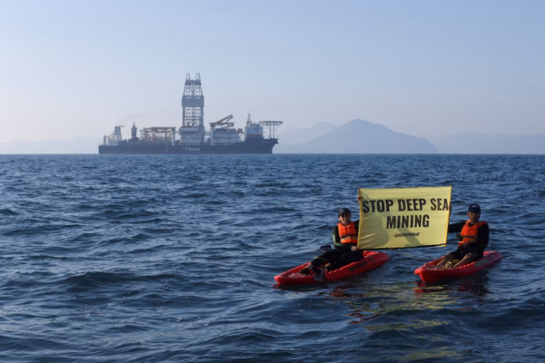 Ocean Rights: A Citizen Tide in the Face of Diplomatic Silence